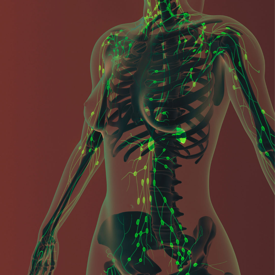 Nettoyage interne, drainage lymphatique, jannice boutroux morbihan