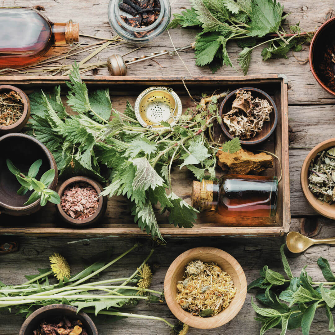 naturopathie fonctionnelle vannes