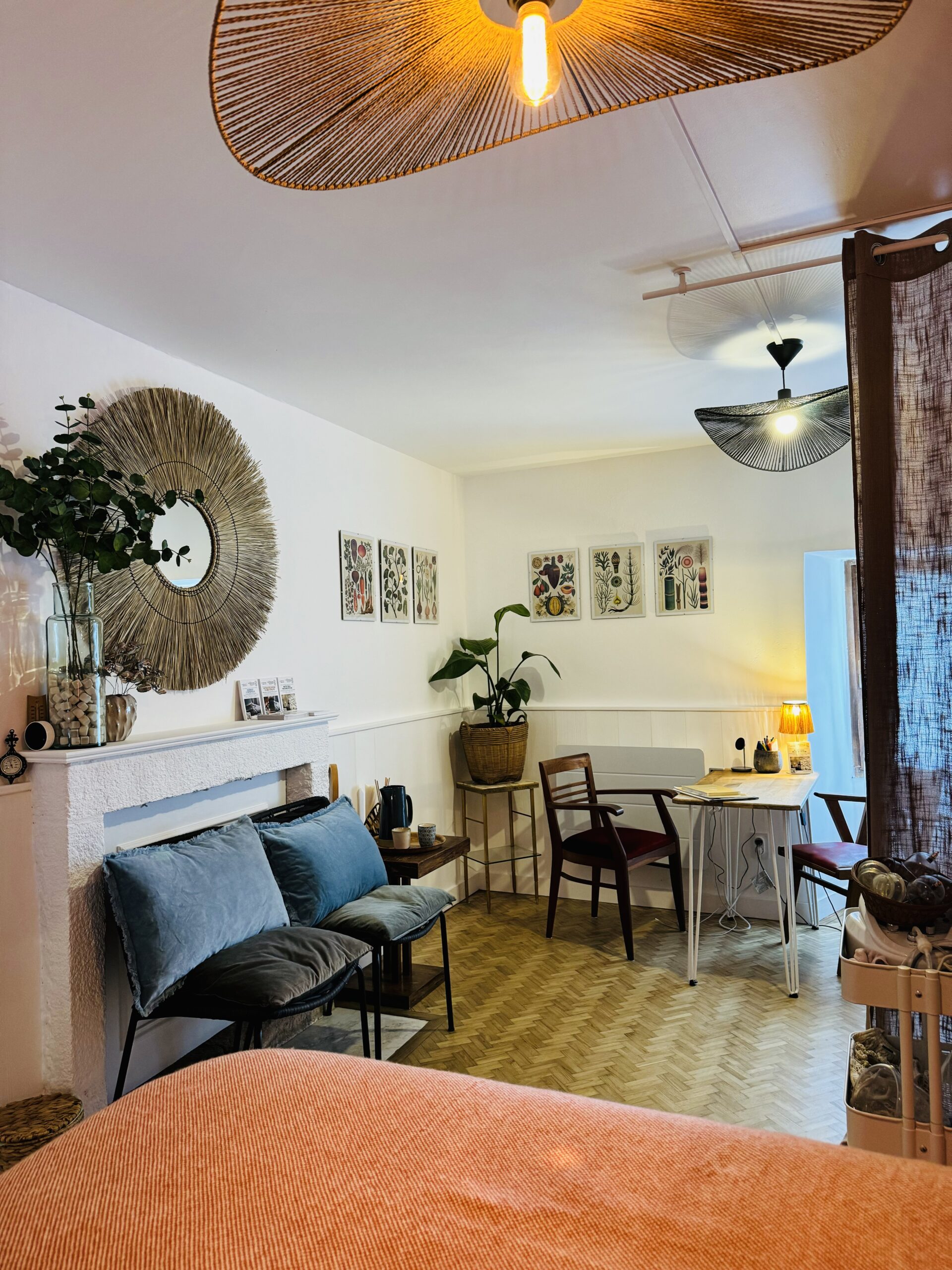 La question du fer - Bien comprendre, mieux agir ! 2 IMG 8544 scaled